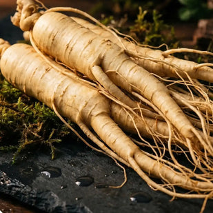 Ginseng Extract