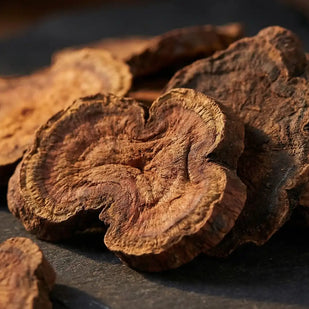 Fo-Ti Extract